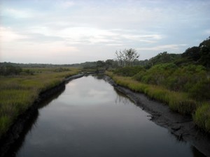 Egan's Creek