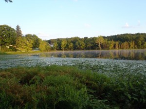 Morning lake in NJ