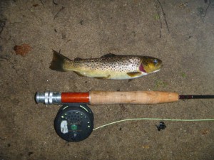 far mill river brown trout