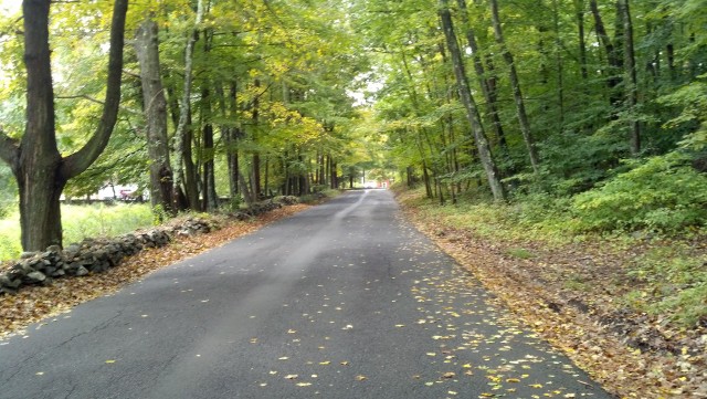 Country road in early fall.