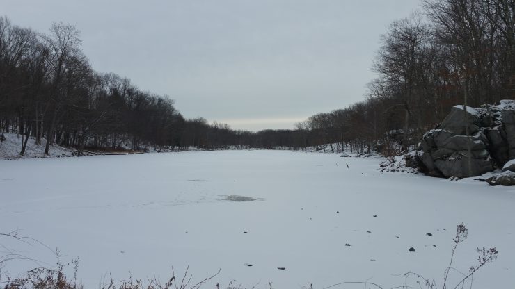 Frozen pond, winter 2017, finfollower.com