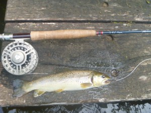 Musconetcong Memorial Day Trout