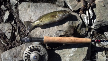 Musconetcong River Wind River reel nymphing hare's ear