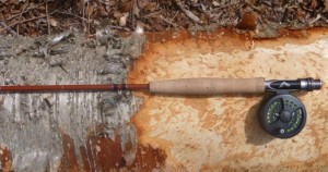 fiberglass fly rod on tree fallen by beavers
