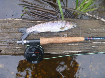farmington river, flyfishing, relaxation, rainbow trout, camping, okuma fly reel, small flies, black caddis