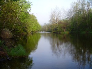 farmington river, flyfishing, relaxation, trout, camping, rising fish