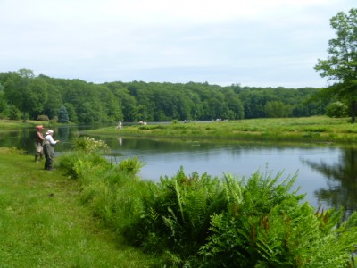Casting For Recovery, CFR, fly fishing