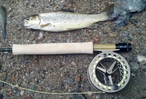 Sage, Sage Circa Rod, Sage Click Reel, Rio Trout LT, 3 wt, brown trout, small stream