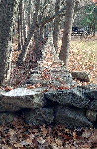 Stone fence, autumn, fall colors, fall scenes, november