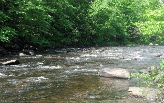 Still River, May 2014