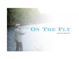 On The Fly