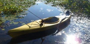 bream, Lake Kenoshia, fly fishing , poppers, kayak fishing, @finfollower, #finfollower