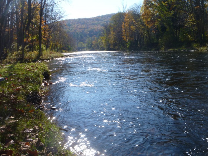 Farmington River, October 2014, finfollower