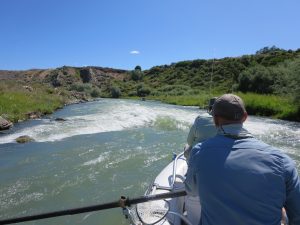Lower Shoshone River, float trip, north fork anglers, FinFollower