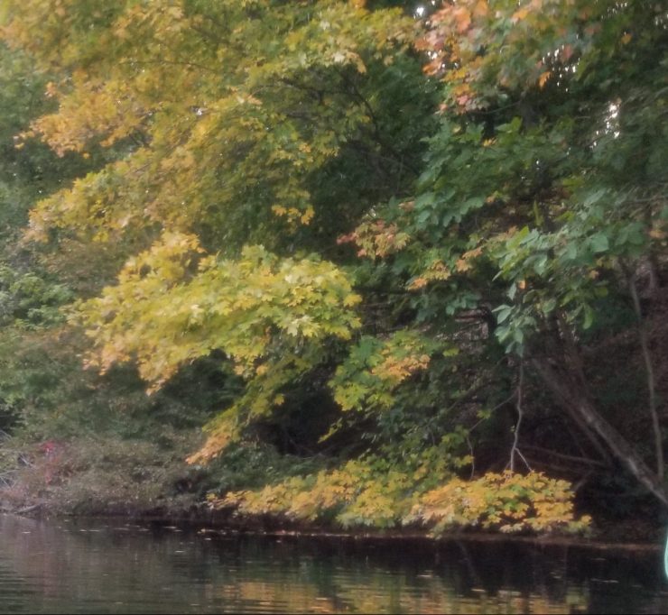 Housatonic River, fly fishing, poppers, bass, bream, kayak fishing, fall fishing, warmwater fly fishing