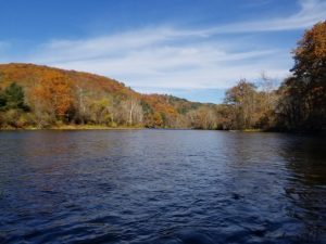 Brown trout, Housatonic River, Fly Fishing, streamers, nymphing, Rainbow Trout, fall fly fishing