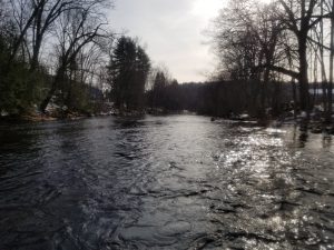 Brown trout, Farmington River, streamers, winter fly fishing, Christmas Day Fishing, Thankful