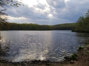 pond fishing, kayak fishing, warmwater flyfishing, spring fishing, Newtown CT, balsa poppers, fiberglass rod, Hattertown Pond