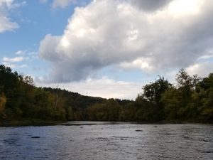 Housatonic River, Fly Fishing, streamer fishing, fall fishing, FinFollower, brown trout, rainbow trout
