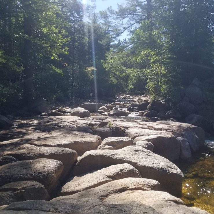 Small stream, New Hampshire, FinFollower, Wild Brookies