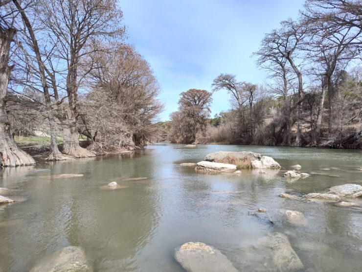 Guadalupe River State Park, Guadalupe River, Guadalupe bass